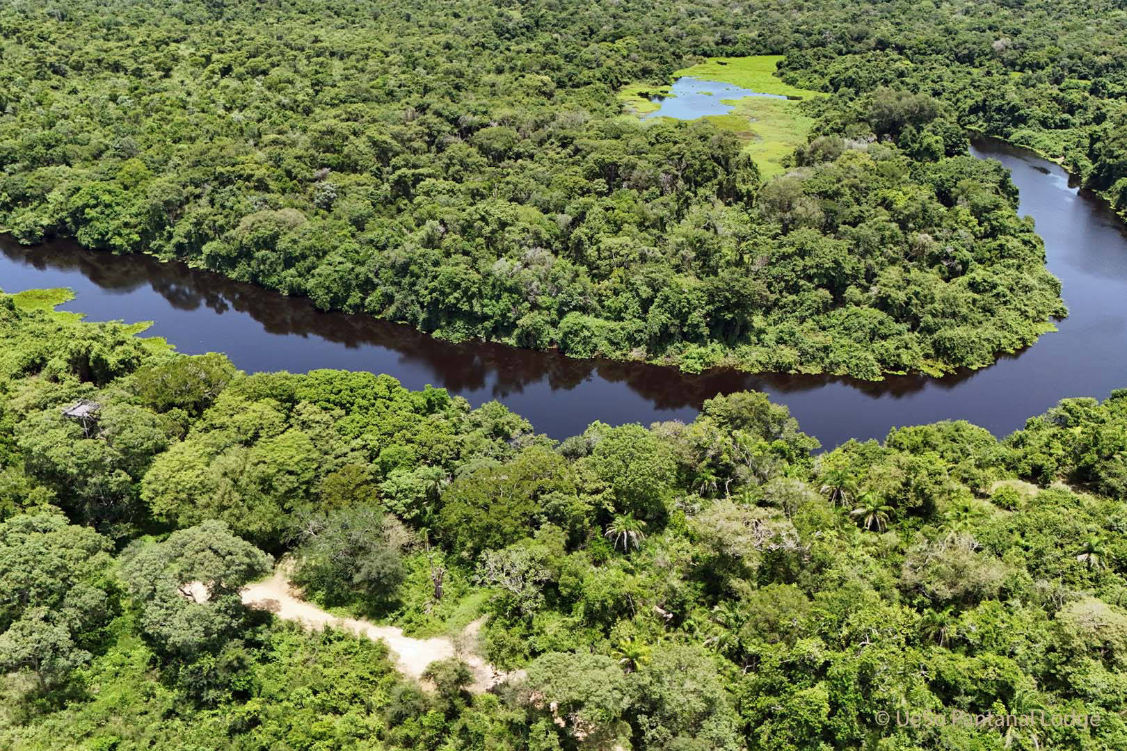 Nosso restaurante no Pantanal