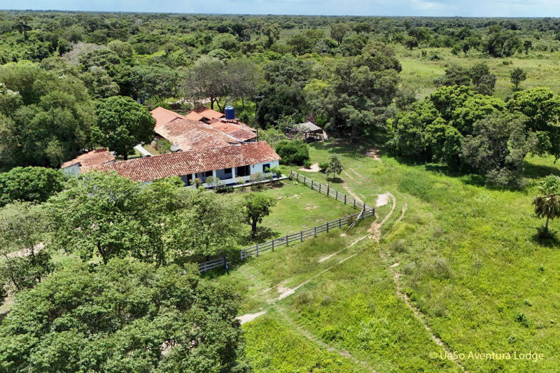 UeSo Aventura Lodge em meio à vegetação verde