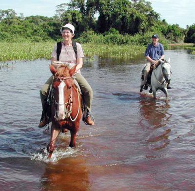 Passeio de mula