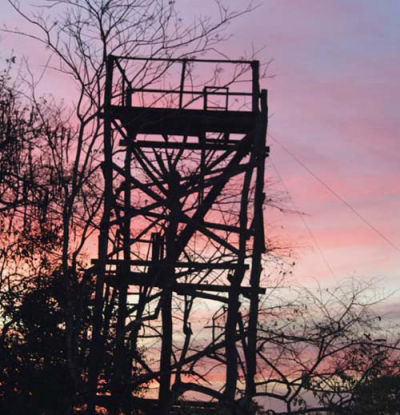 torre en pantanal