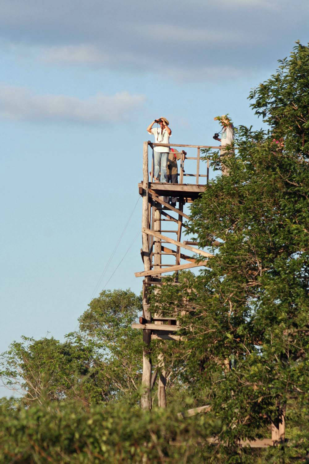 auf dem 17 Meter Turm das Pantanal überblicken