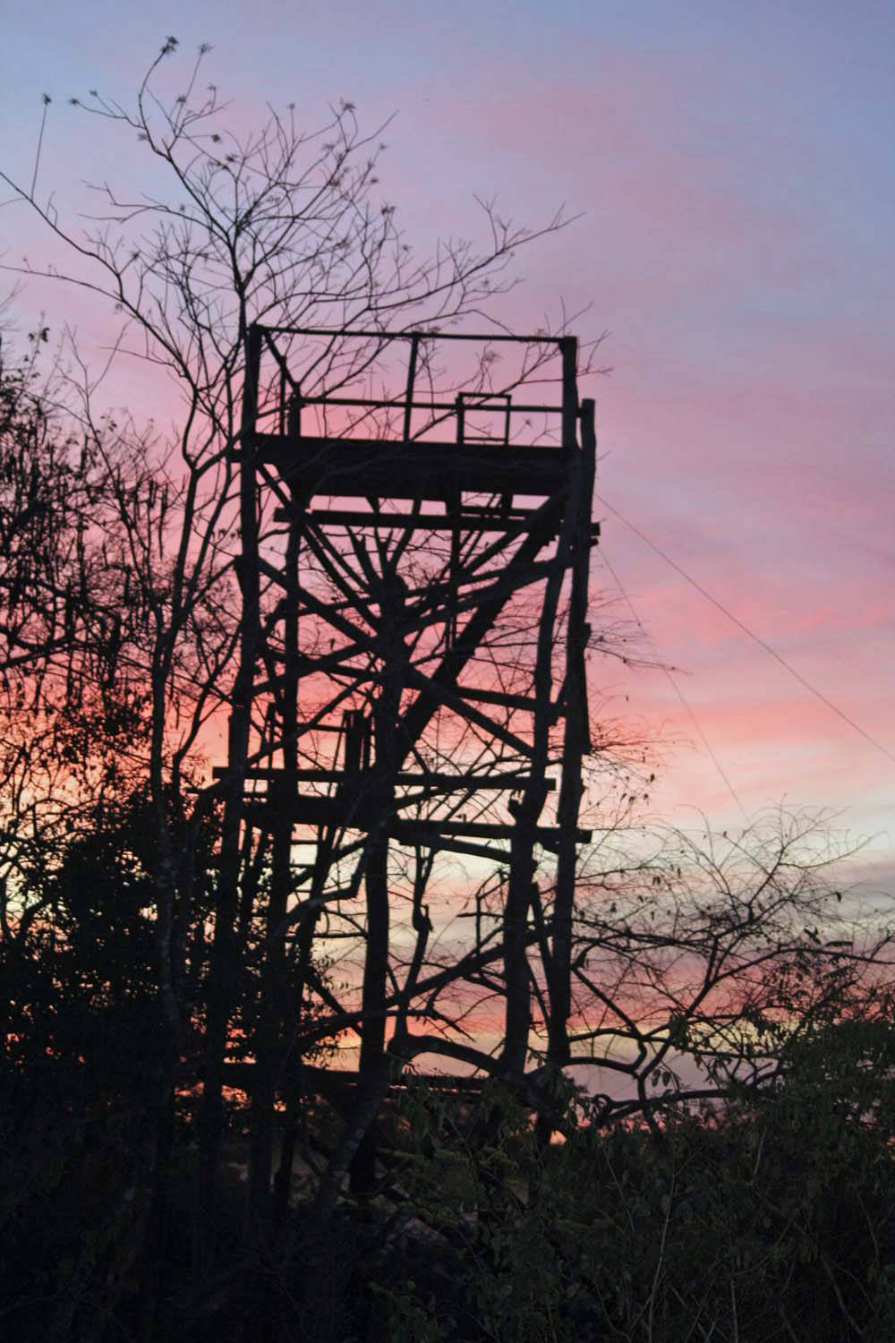 Turm bei Nacht für Wildtierbeobachtungen