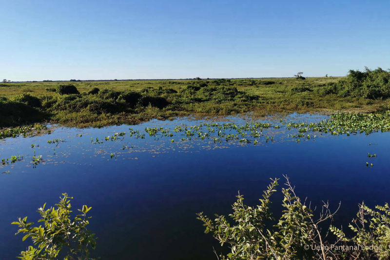 Pantanal river landscape view from the upper deck