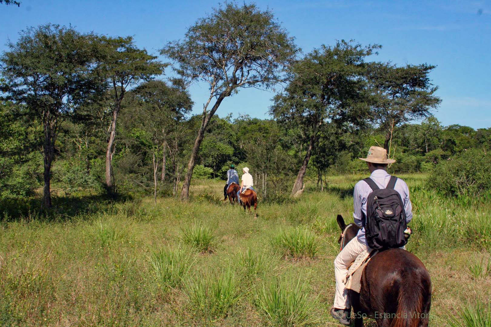 Excursions on horseback, discovery tours