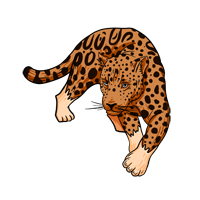 Jaguarsafari