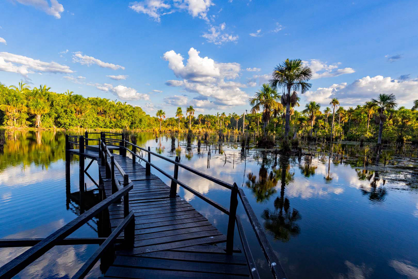 Lagoa das Araras Nobres