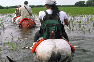 Tour 2 - Hikes in the Pantanal