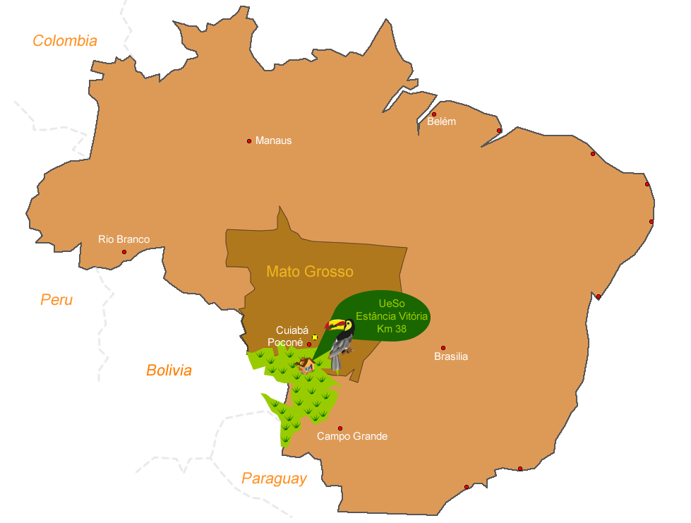 Mapa Do Pantanal