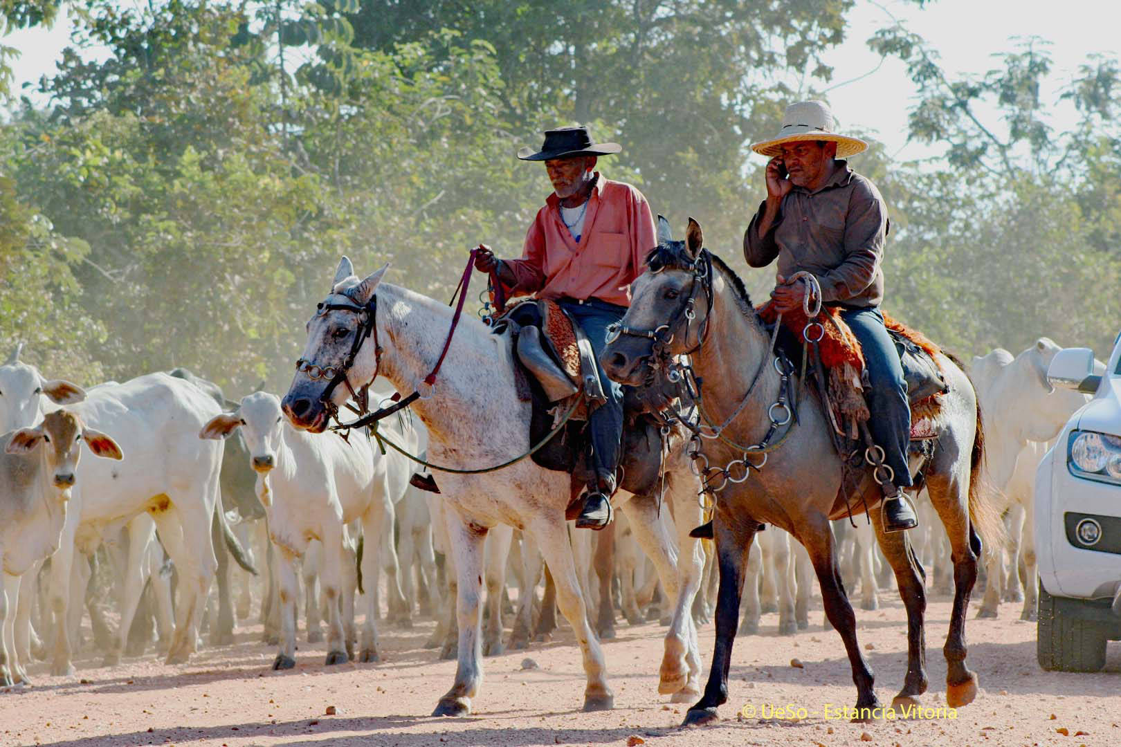 Cowboys on the Transpantaneira