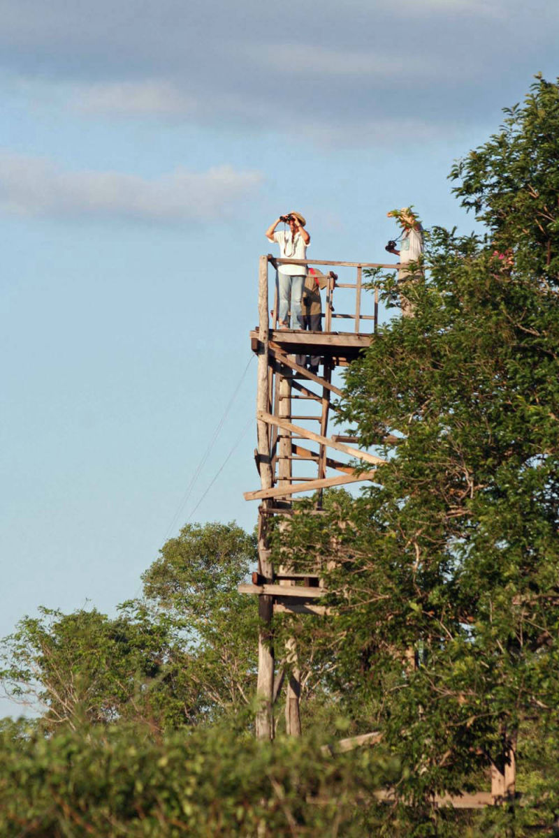 Pantanal tower near our farm