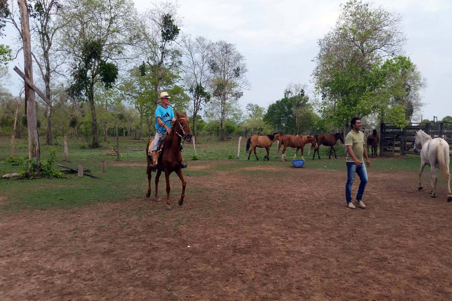 Preparation for horse riding
