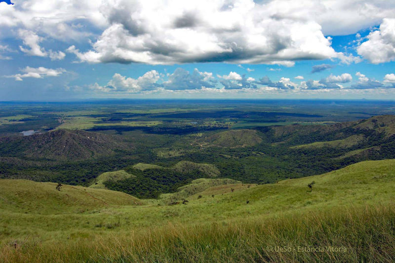 Vue de la Montagne de la Table, Cerado Mato Grosso