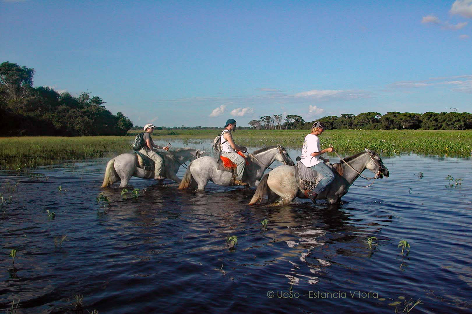Tour avec les chevaux dans les terres alluviales