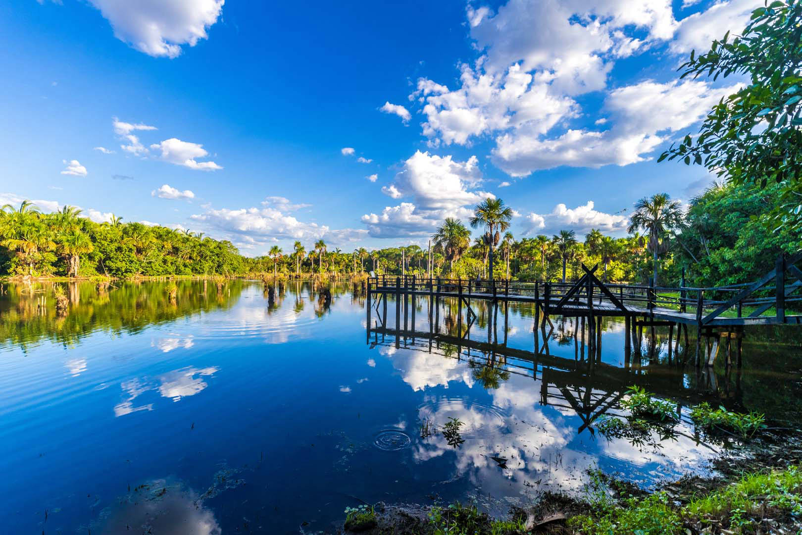 Passerelle près de Lagoas das Araras