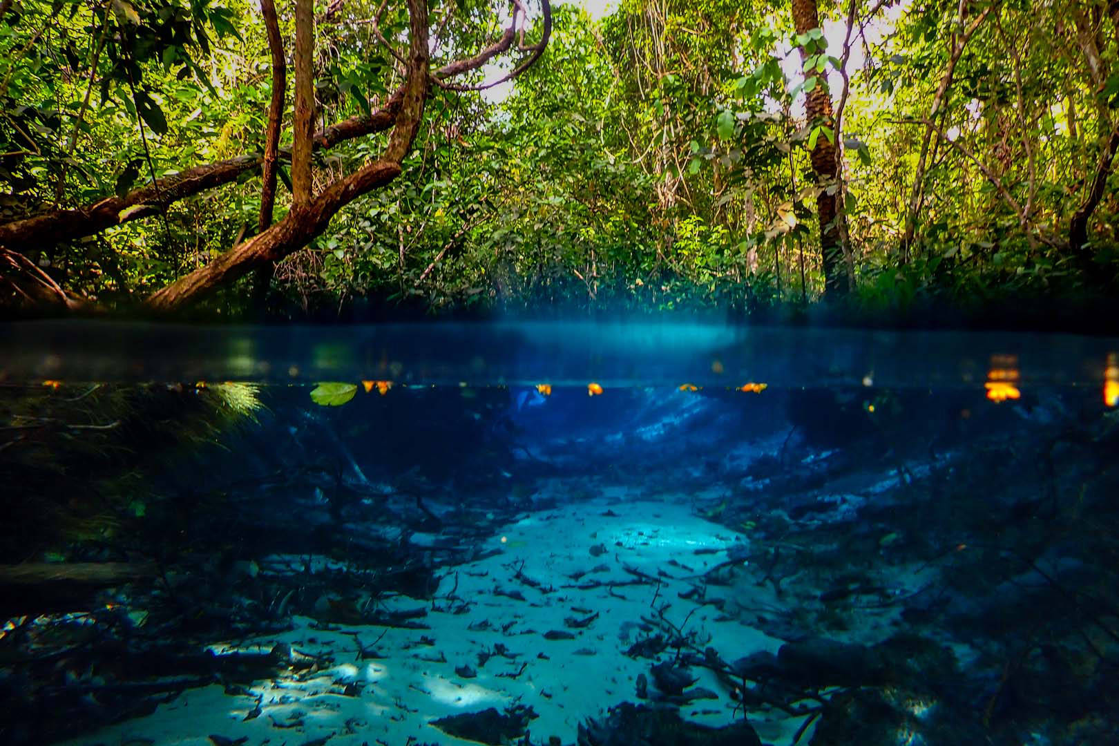 Rivière forestière à Nobres
