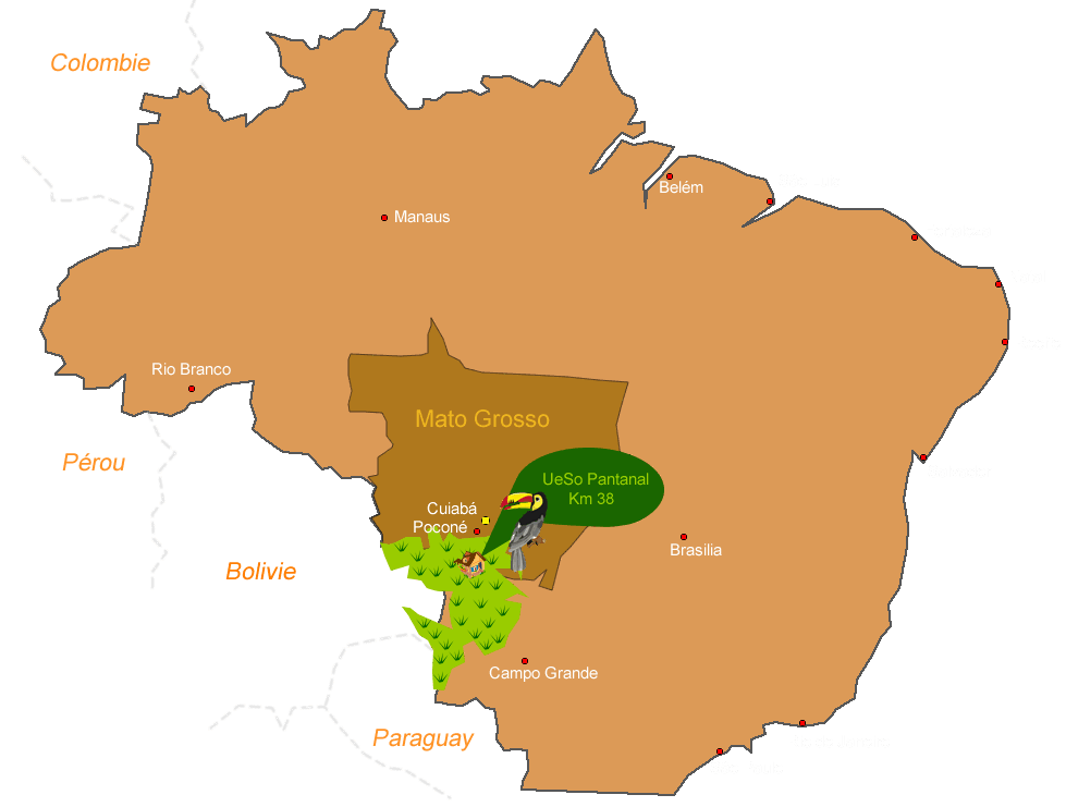 Carte de la plaine alluviale du pantanal