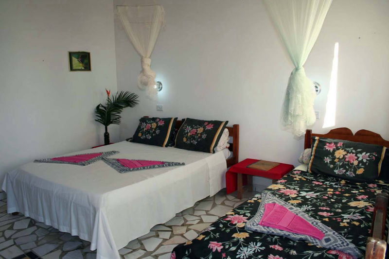 Chambre d'hôtel avec moustiquaire, Pantanal